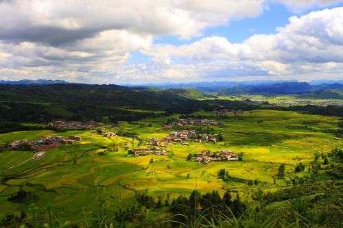 瀏陽市省級(jí)農(nóng)業(yè)科技園區(qū)機(jī)關(guān)黨支部結(jié)合主題黨日開展 “黨員人人講黨課”活