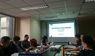 問(wèn)診專(zhuān)家，繪制龍鄉(xiāng)銅梁鄉(xiāng)村振興新藍(lán)圖